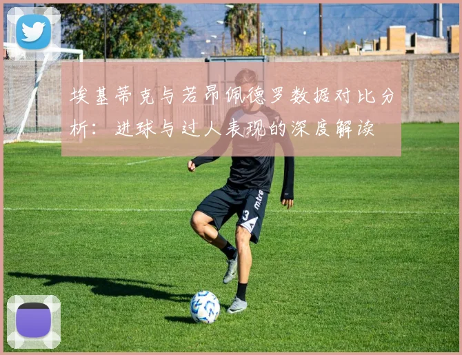 埃基蒂克与若昂佩德罗数据对比分析：进球与过人表现的深度解读